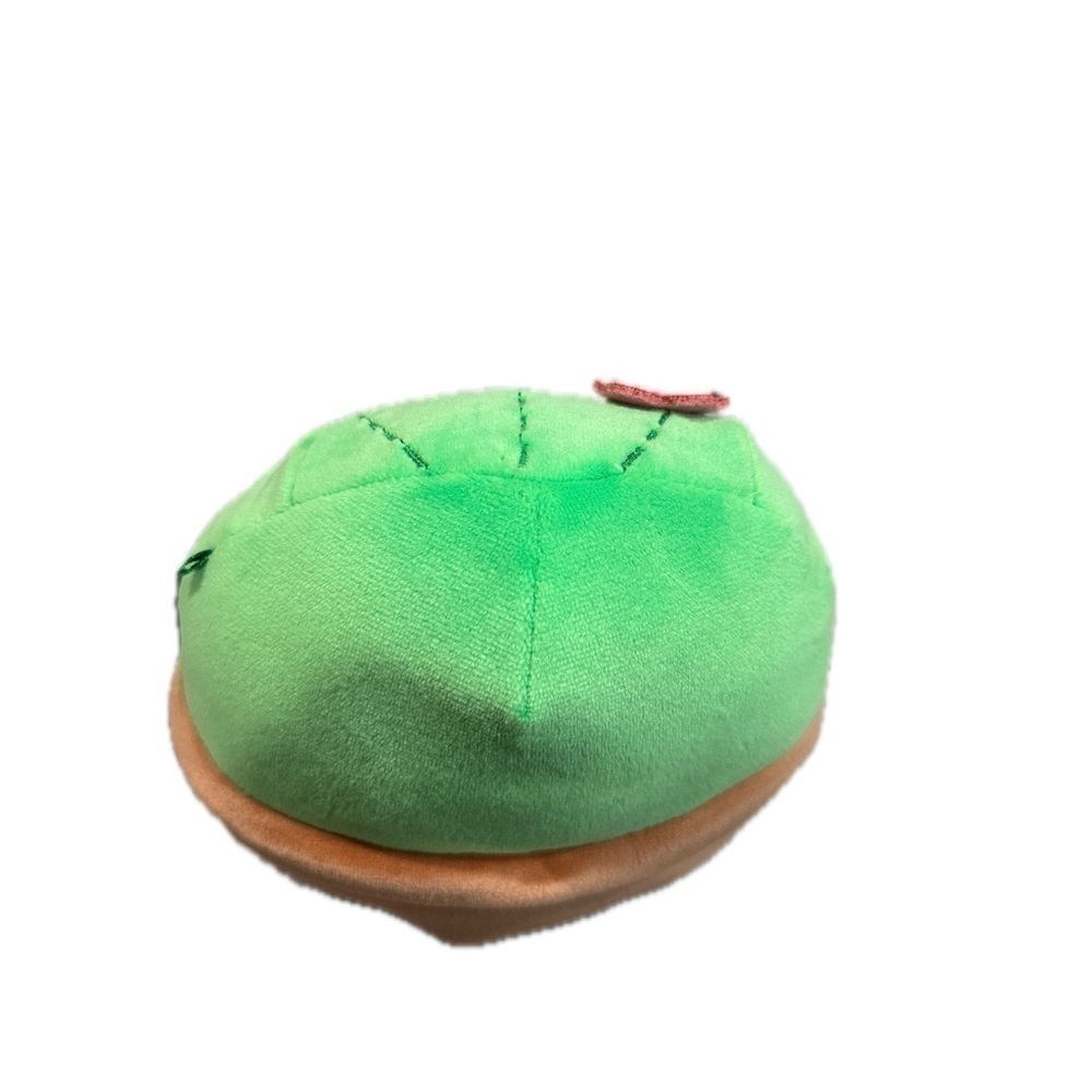 5” Shadi & Marcellus the Cactus Valentine Squishmallow Set NWOT - Picture 6 of 12